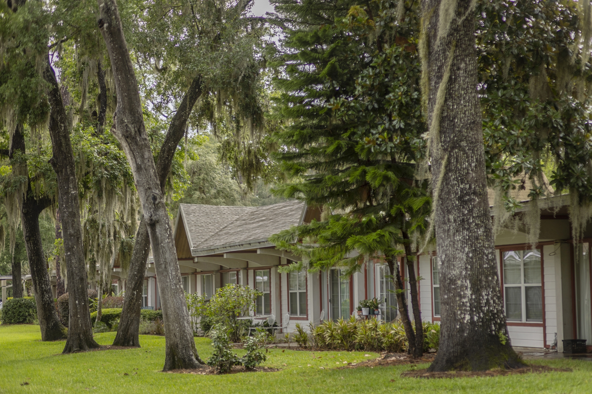 Westminster Woods on Julington Creek, Jacksonville, FL 2