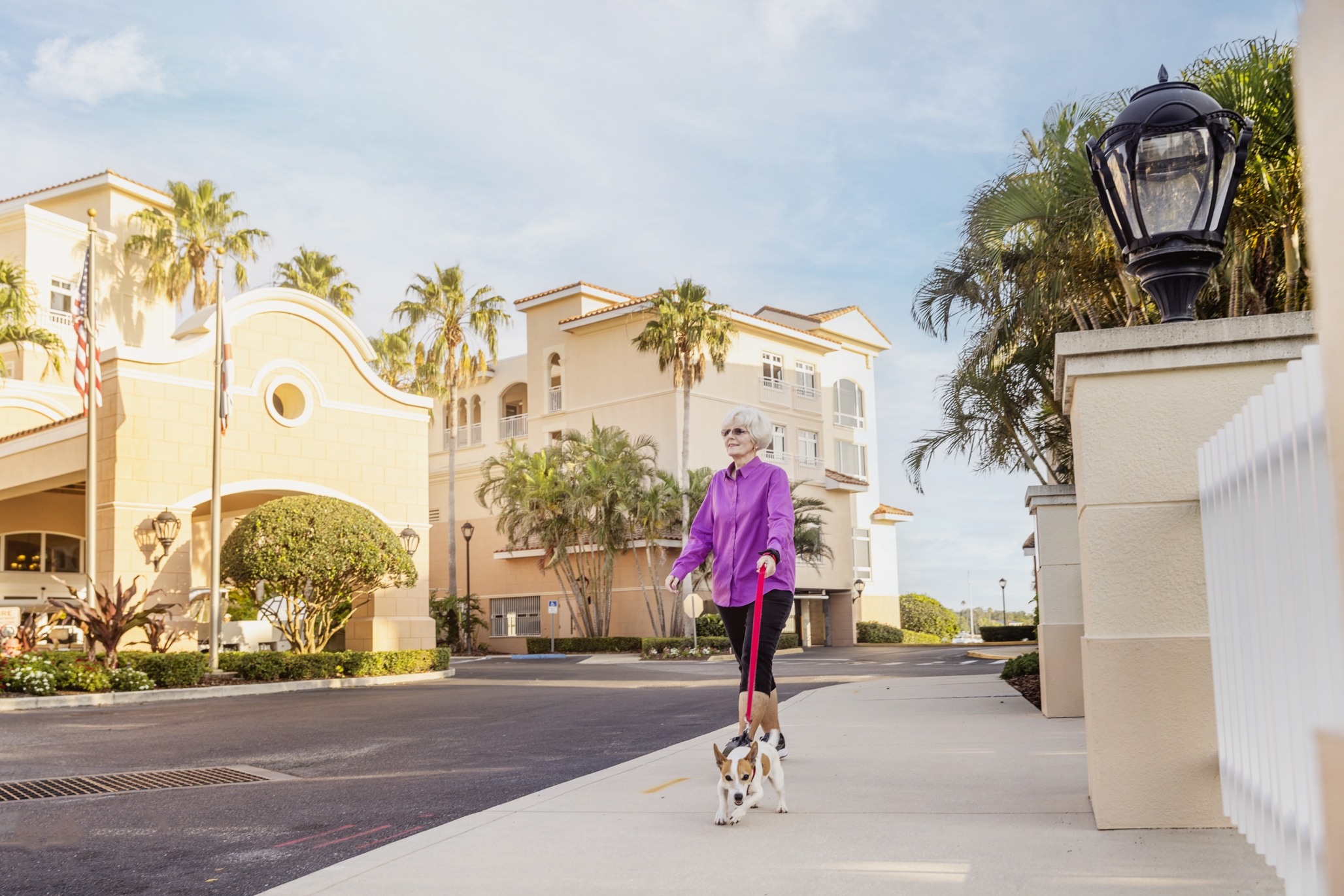 Westminster Shores, St. Petersburg, FL 4