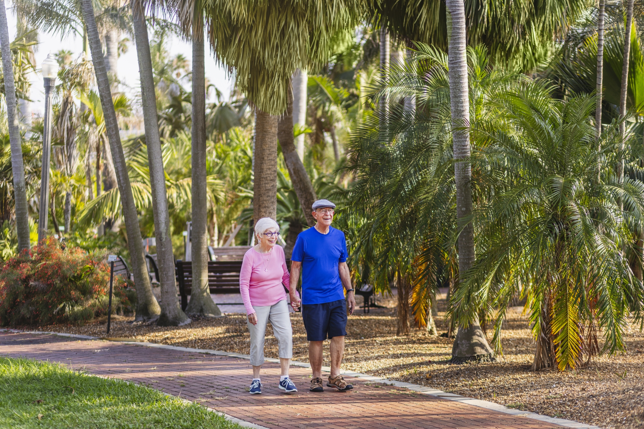 Westminster Palms, St. Petersburg, FL 3