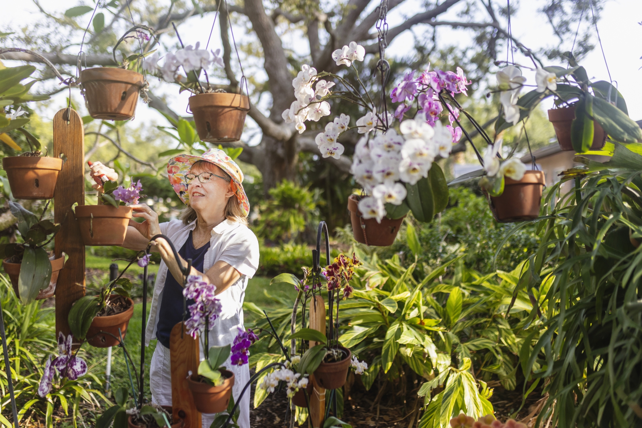 Westminster Suncoast, St. Petersburg, FL 3