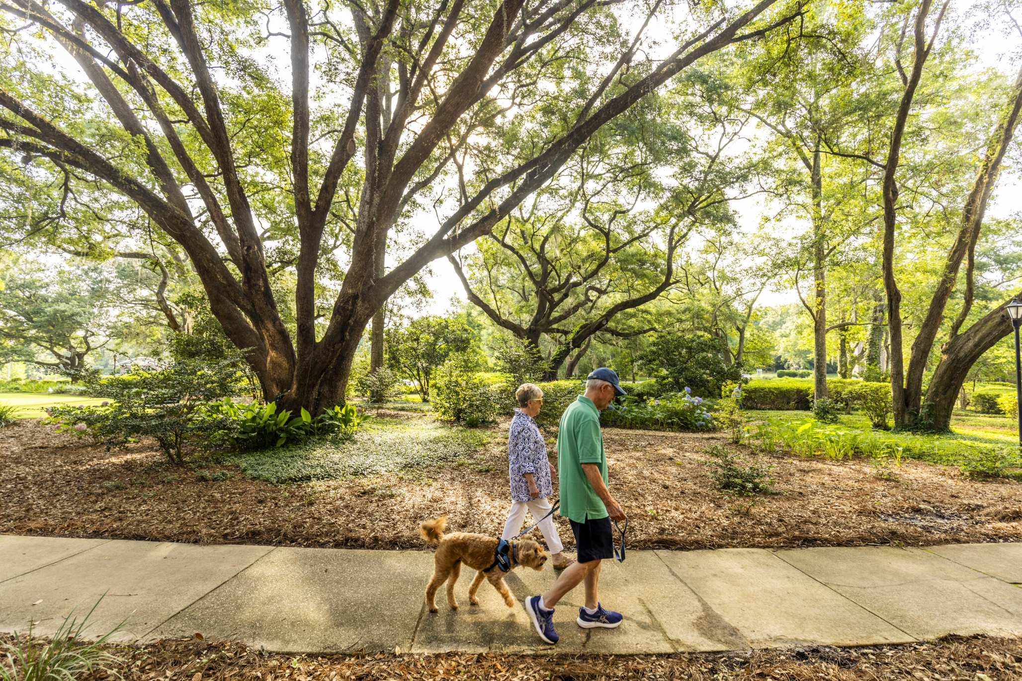 Westminster Oaks, Tallahassee, FL 6