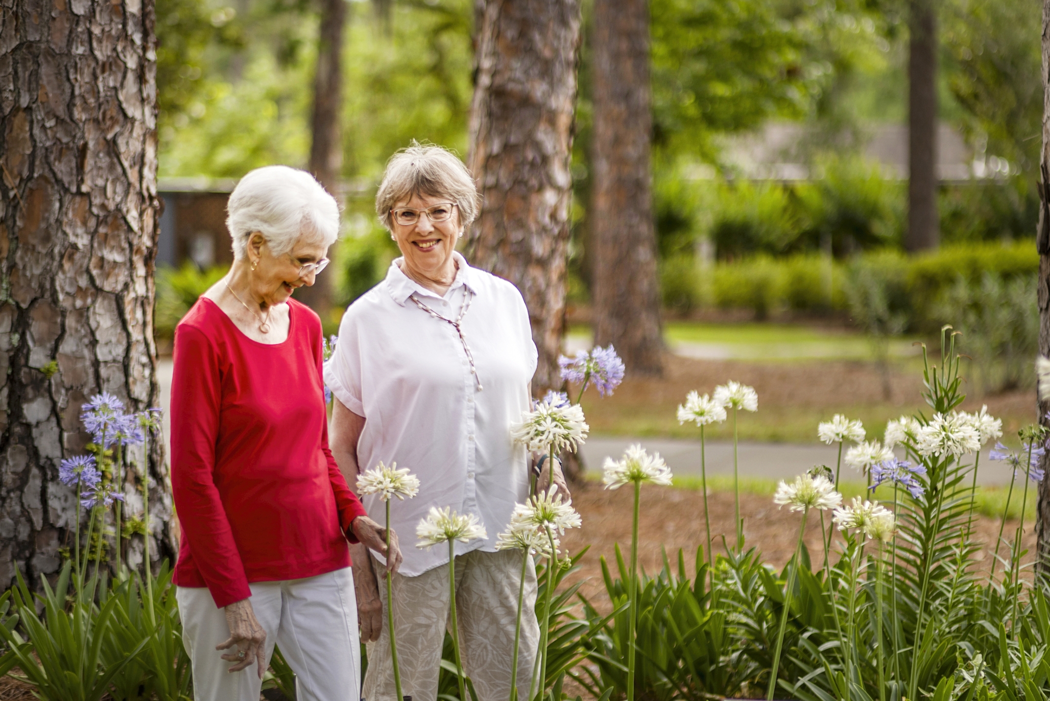 Westminster Woods on Julington Creek, Jacksonville, FL 5