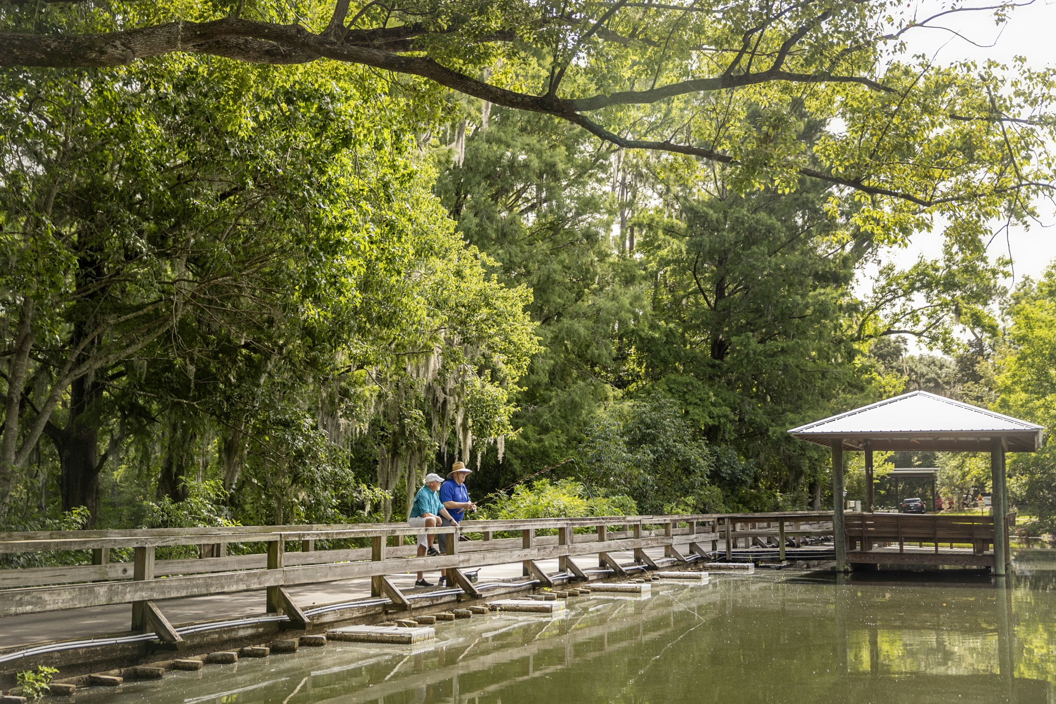 Westminster Woods on Julington Creek, Jacksonville, FL 6