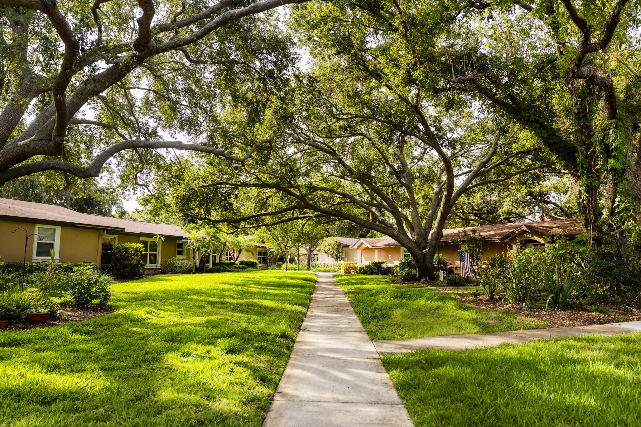 Westminster Suncoast, St. Petersburg, FL 7