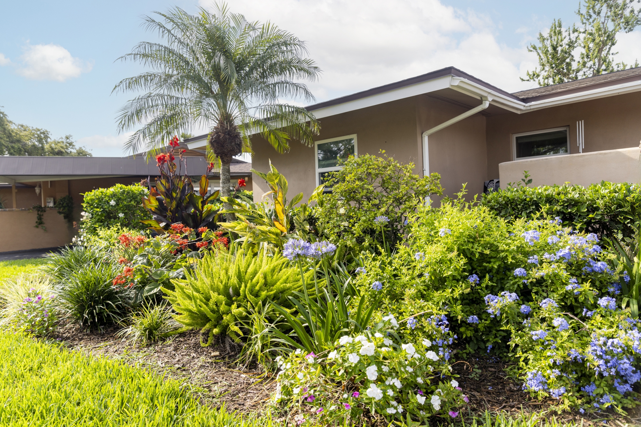 Westminster Suncoast, St. Petersburg, FL 8