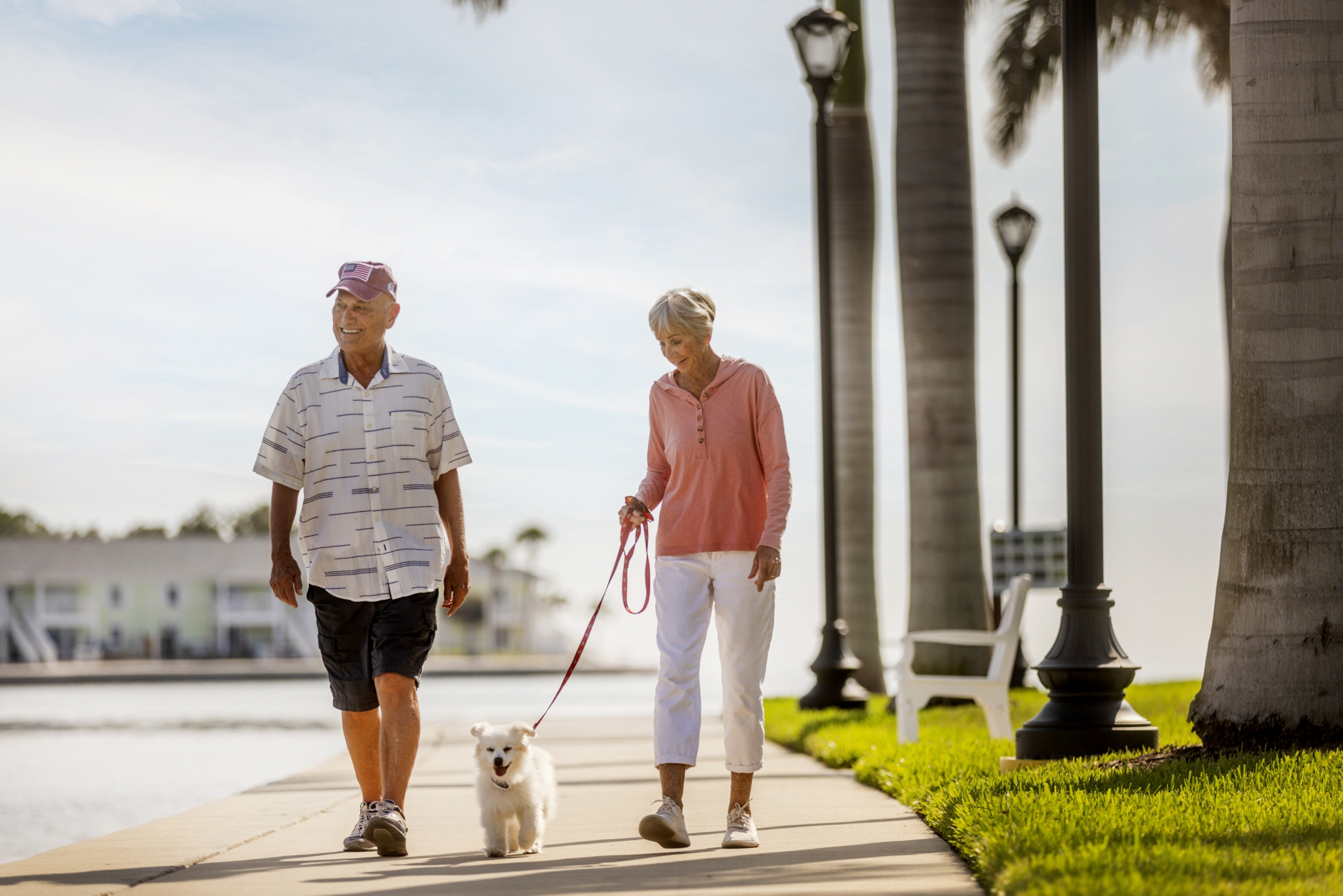 Westminster Shores, St. Petersburg, FL 11