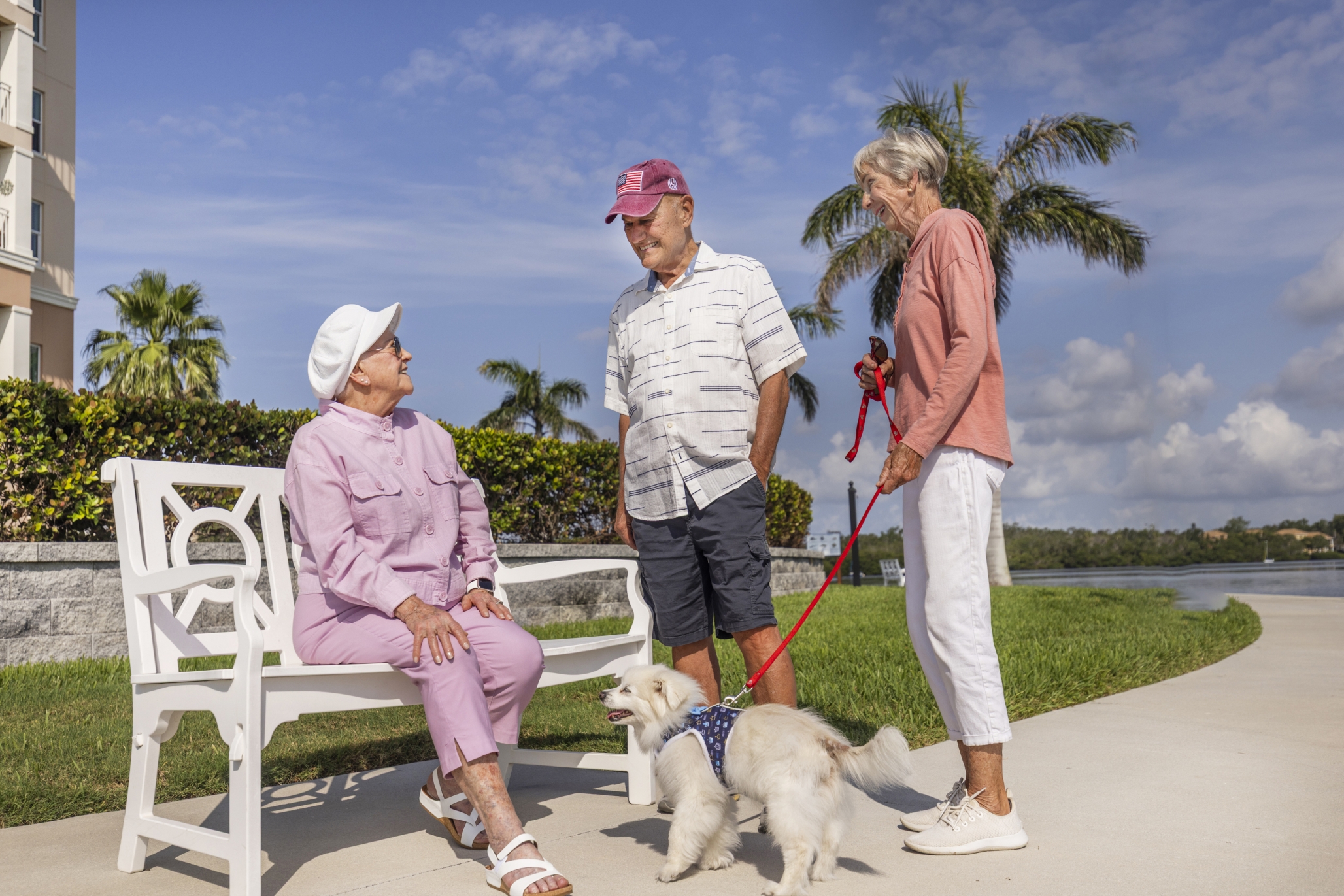 Westminster Shores, St. Petersburg, FL 12