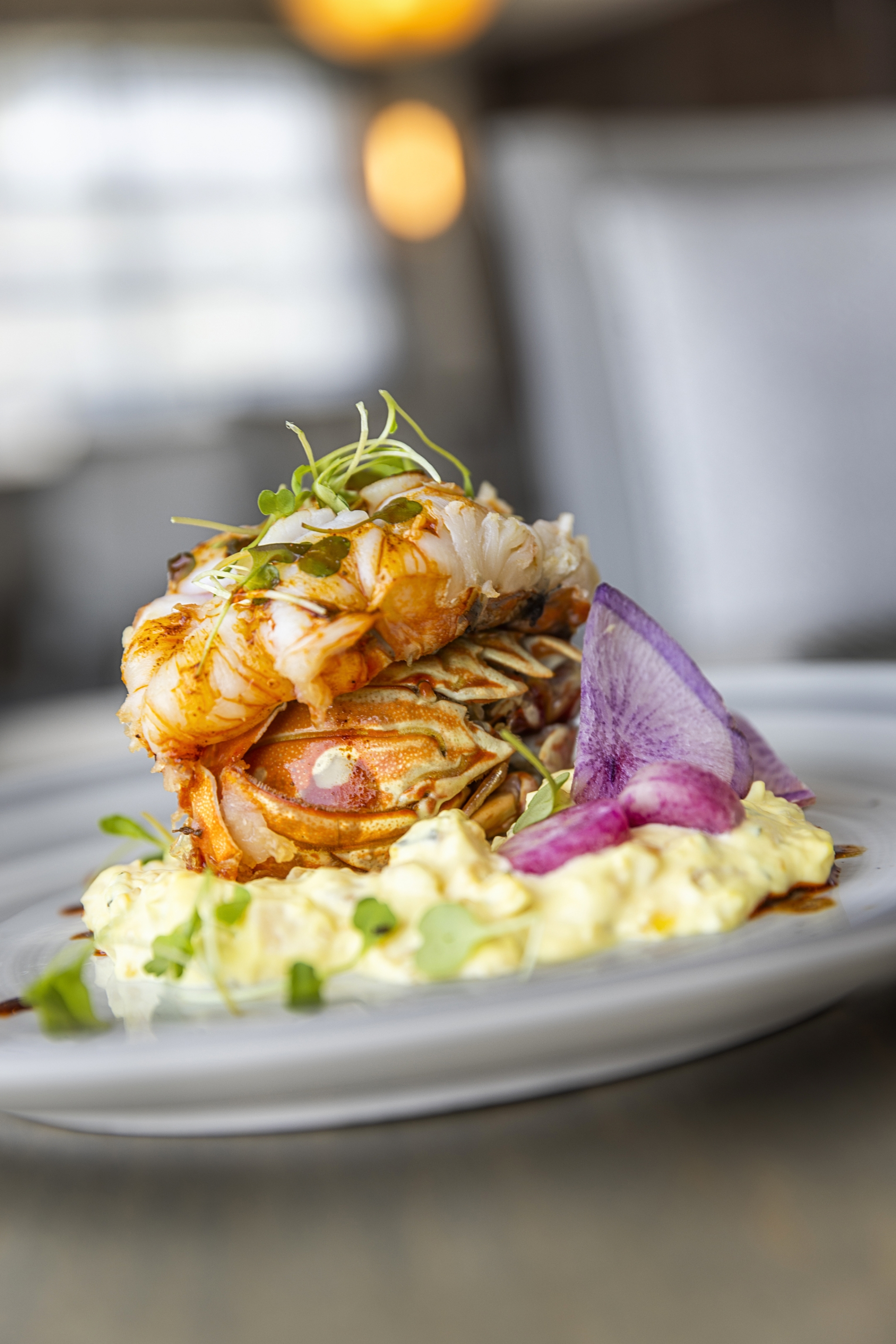 Westminster Shores, St. Petersburg, FL 21