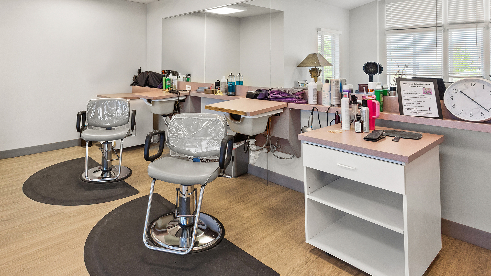 Manor at Oakridge, Harrisburg, PA 10