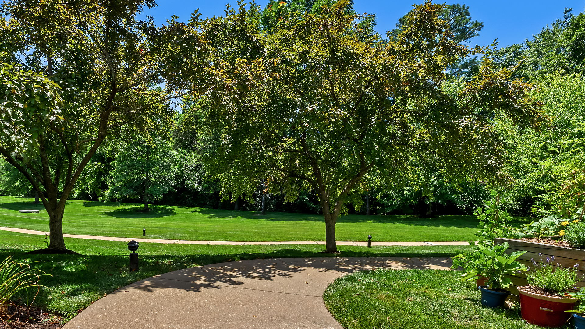 Orchid Terrace, St. Louis, MO 8