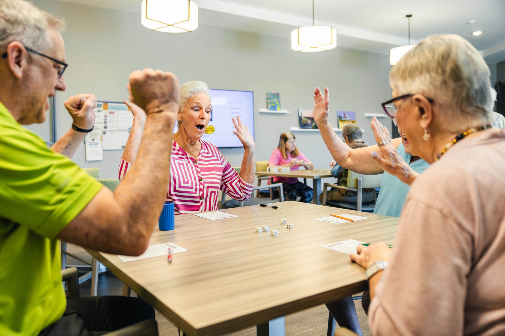 The Gallery at North Port, North Port, FL 72