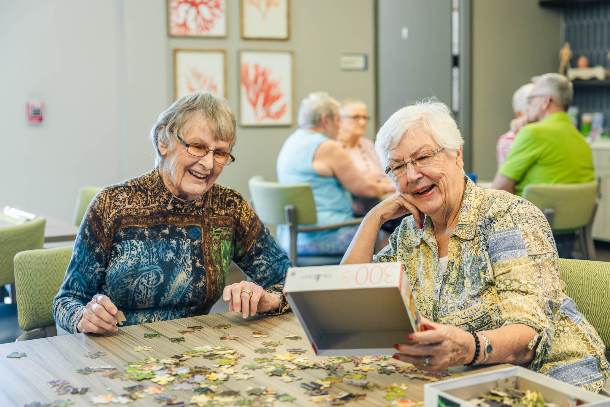 The Gallery at North Port, North Port, FL 73