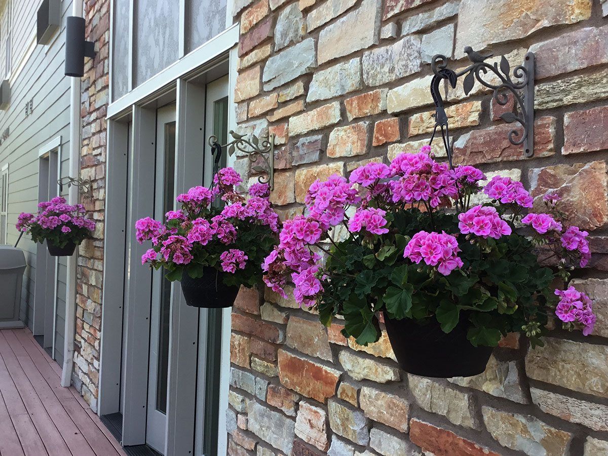 Shores of Lake Phalen, Maplewood, MN 3