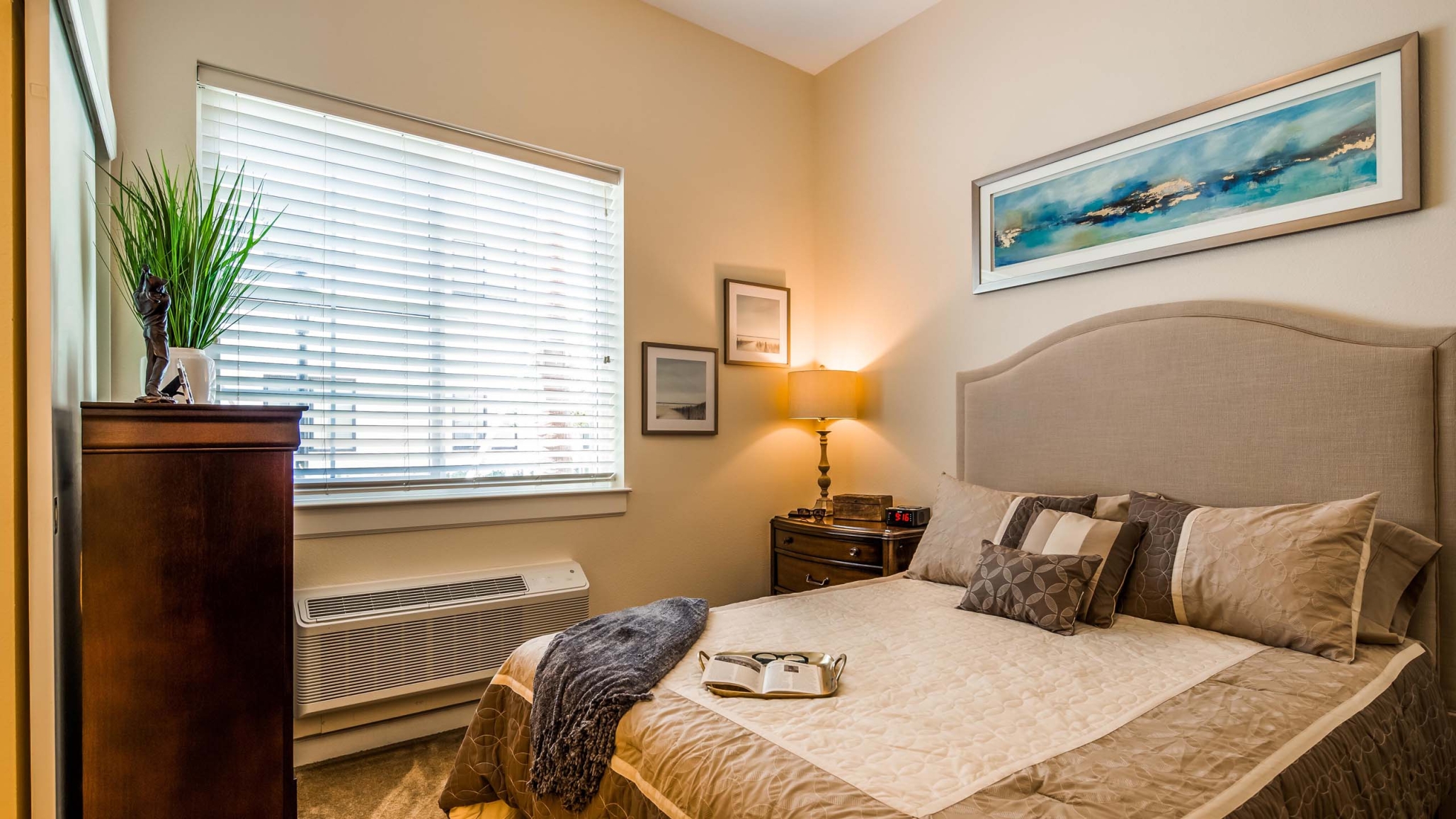 The Windsor of Gainesville, Gainesville, FL 12