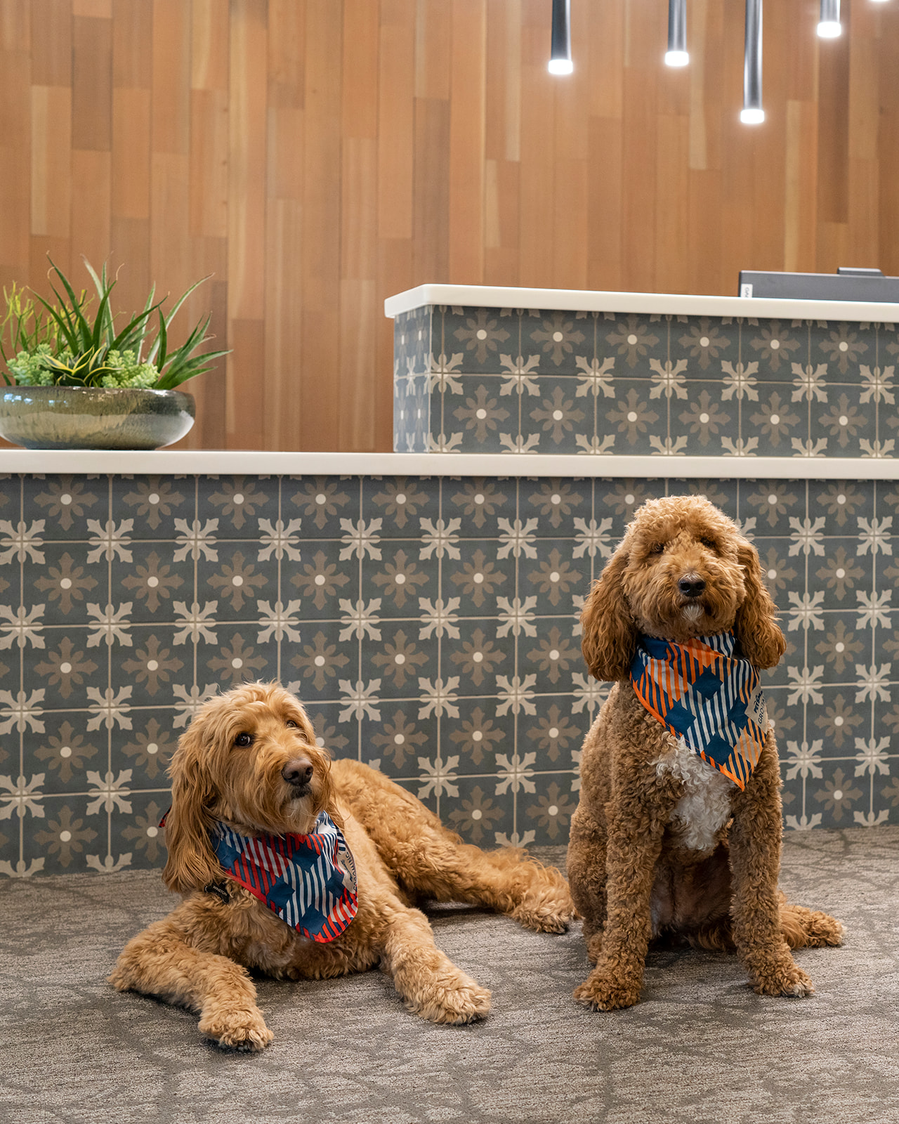 Shadow Mountain Memory Care, Phoenix, AZ 5