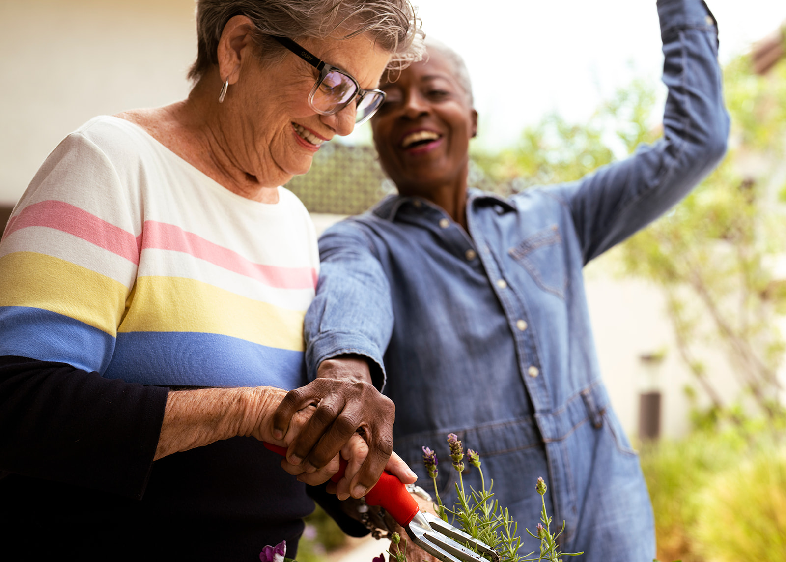 Shadow Mountain Memory Care, Phoenix, AZ 63