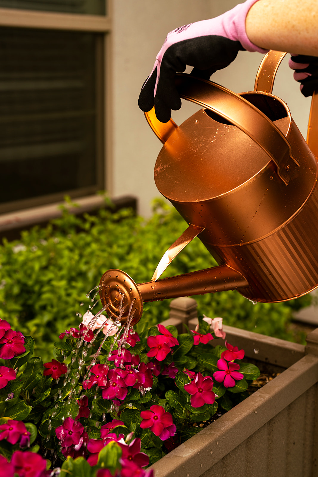 Shadow Mountain Memory Care, Phoenix, AZ 69