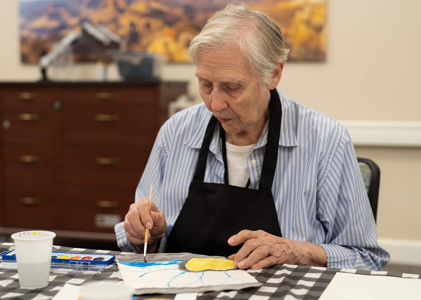 Shadow Mountain Memory Care, Phoenix, AZ 52