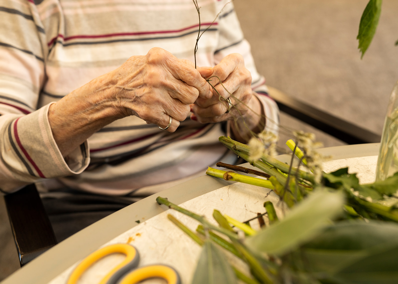 Shadow Mountain Memory Care, Phoenix, AZ 47