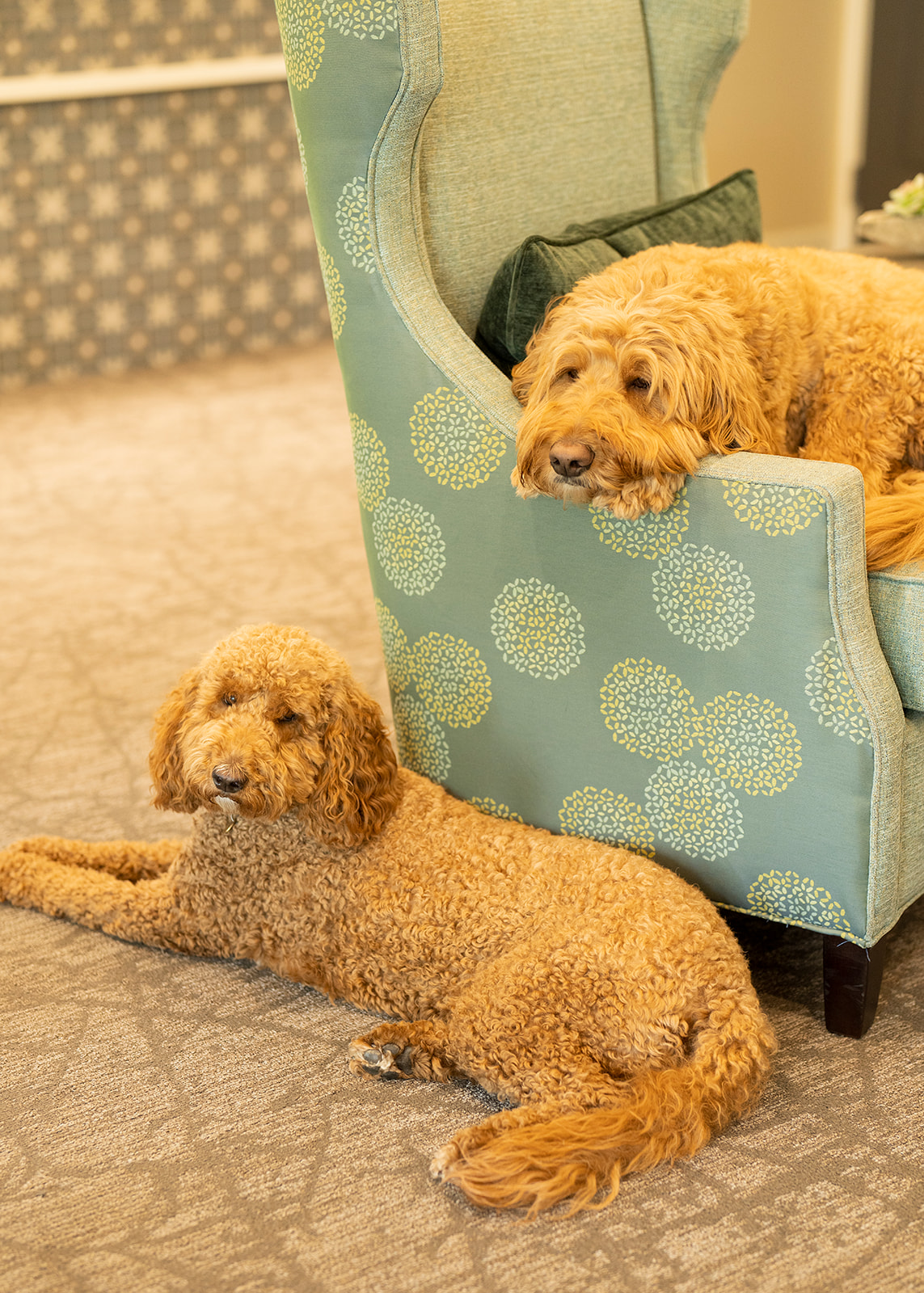 Shadow Mountain Memory Care, Phoenix, AZ 15