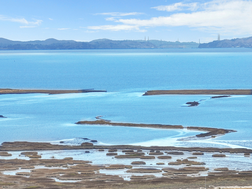 The Bluffs at Hamilton Hill, Novato, CA 2