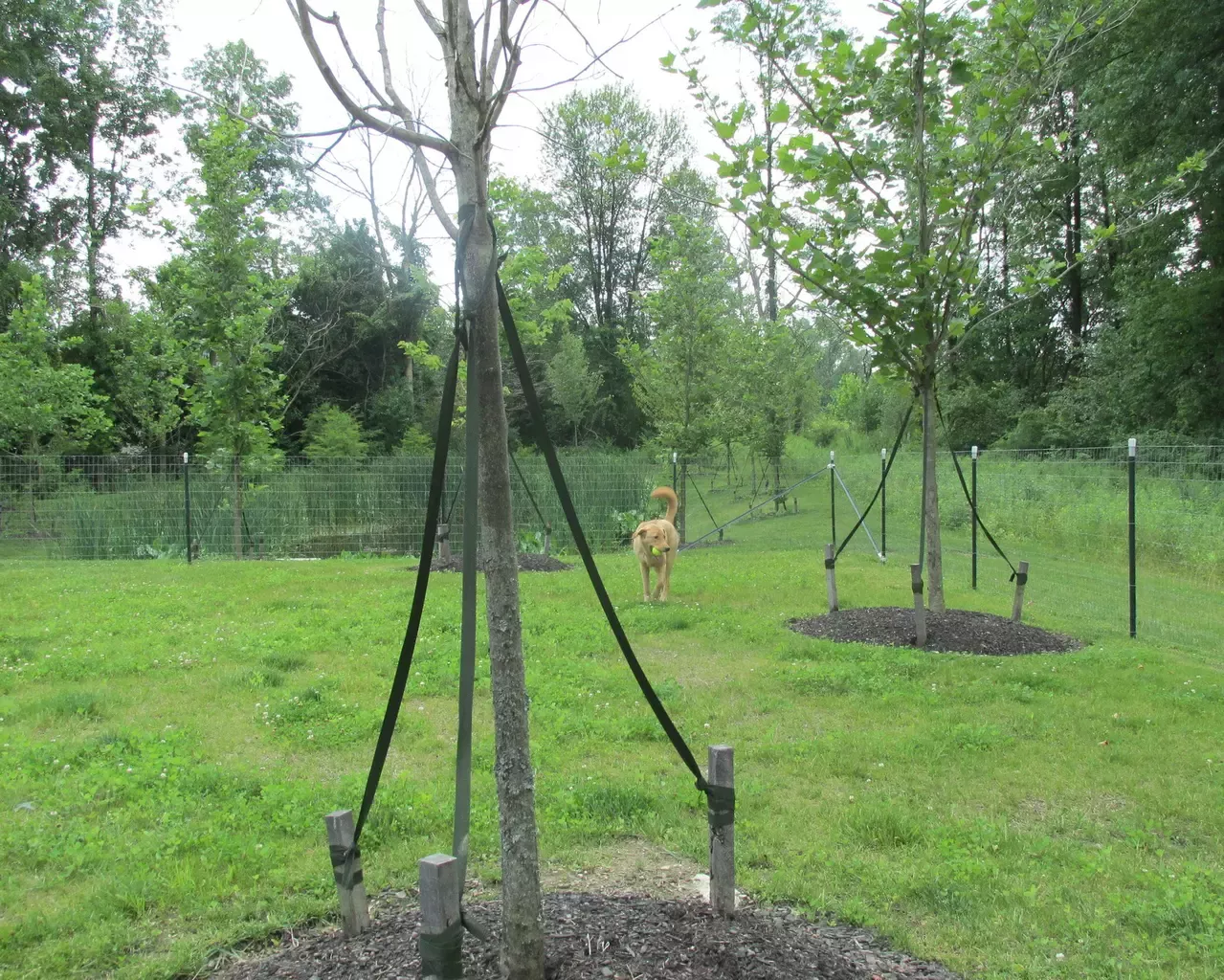 Danbury Broadview Heights, Broadview Heights, OH 11