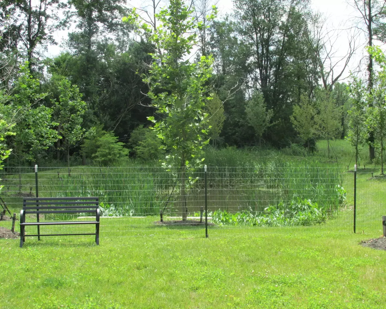 Crestwood Village Assisted Living & Memory Care, Mount Pleasant, MI 14