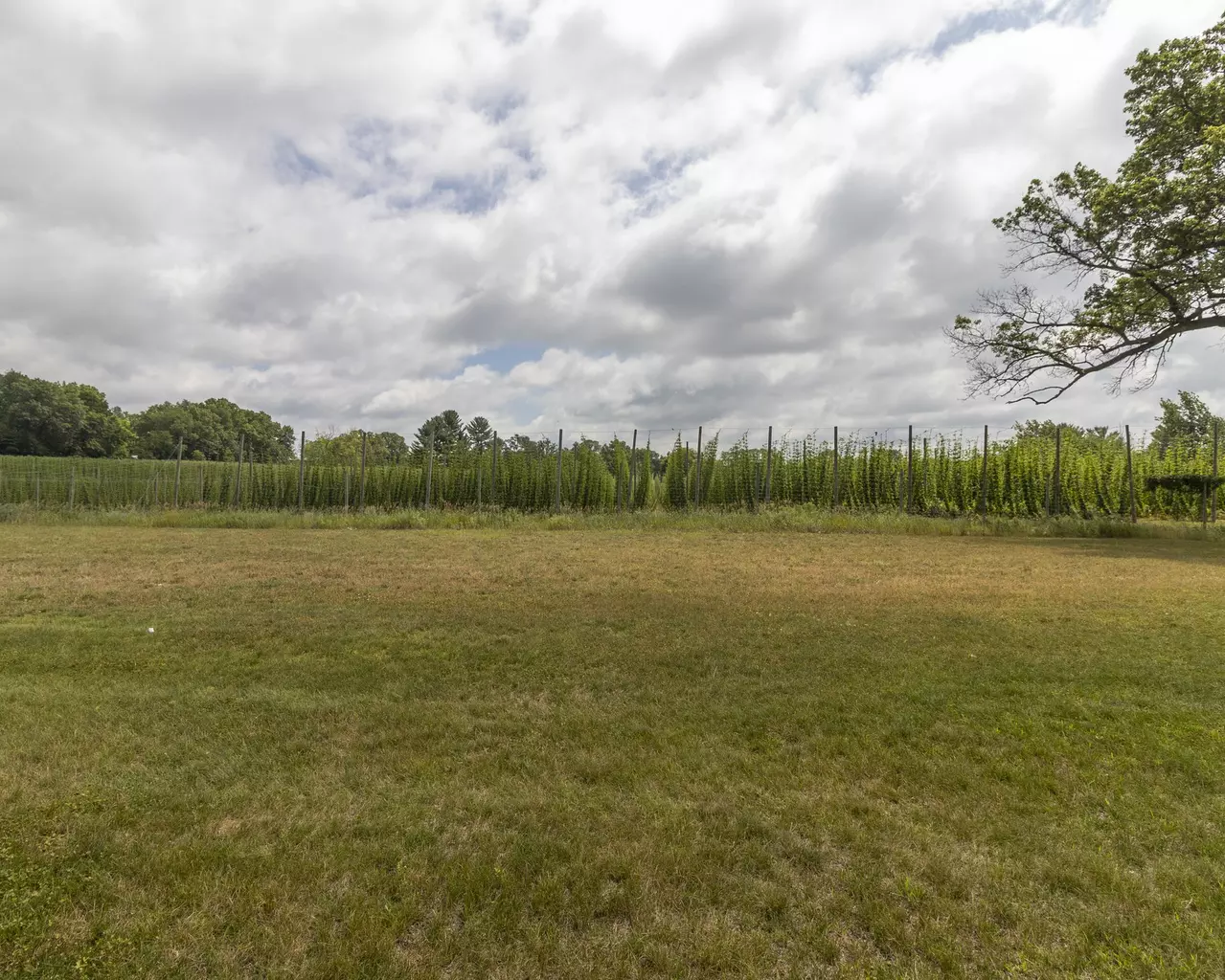 Hathaway Hills Assisted Living & Memory Care, Greenville, MI 21