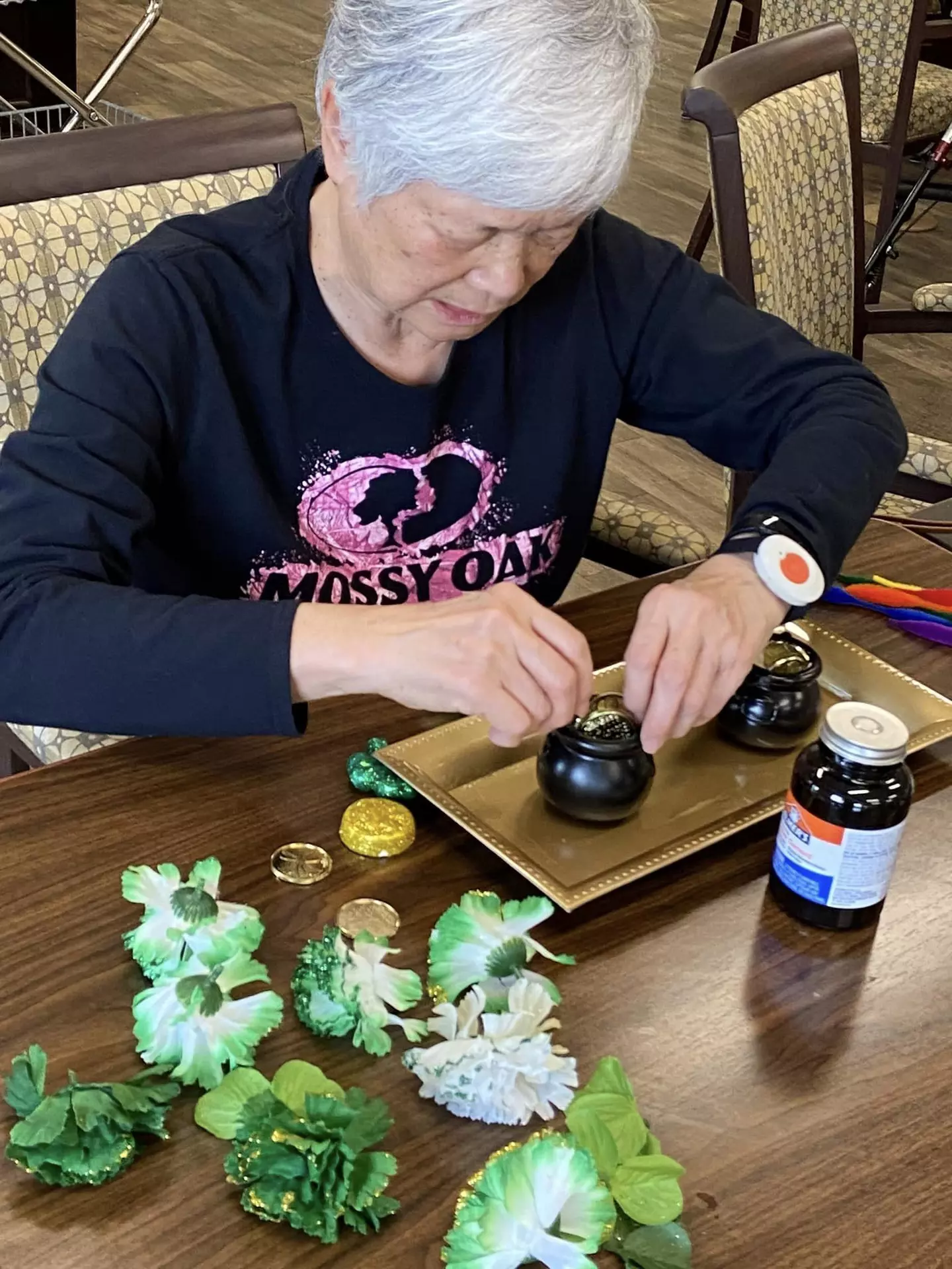 Independence Village of Carmel, Carmel, IN 27