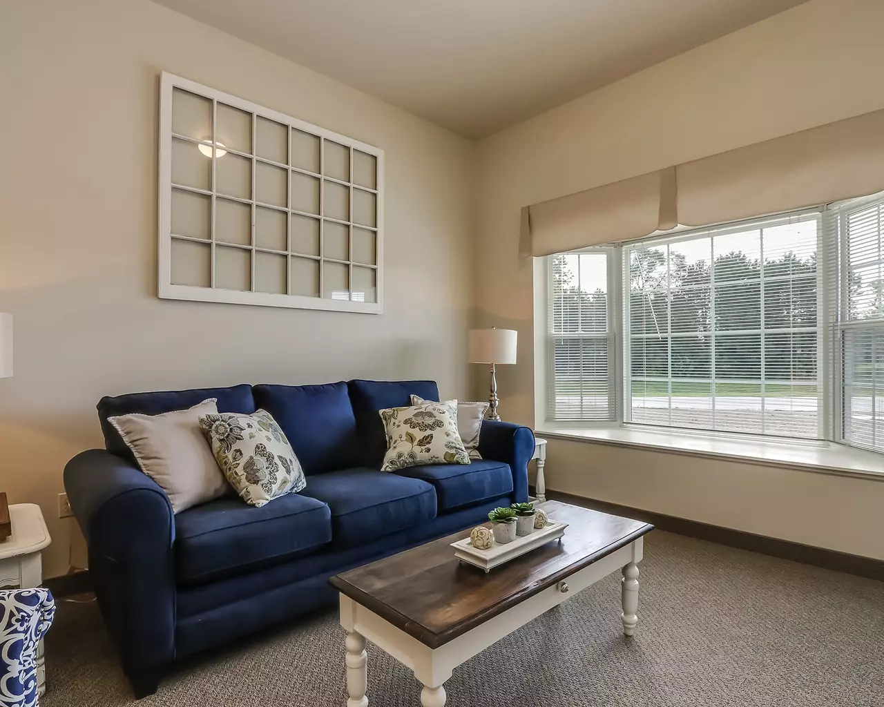 Springvale Assisted Living & Memory Care, Swartz Creek, MI 28