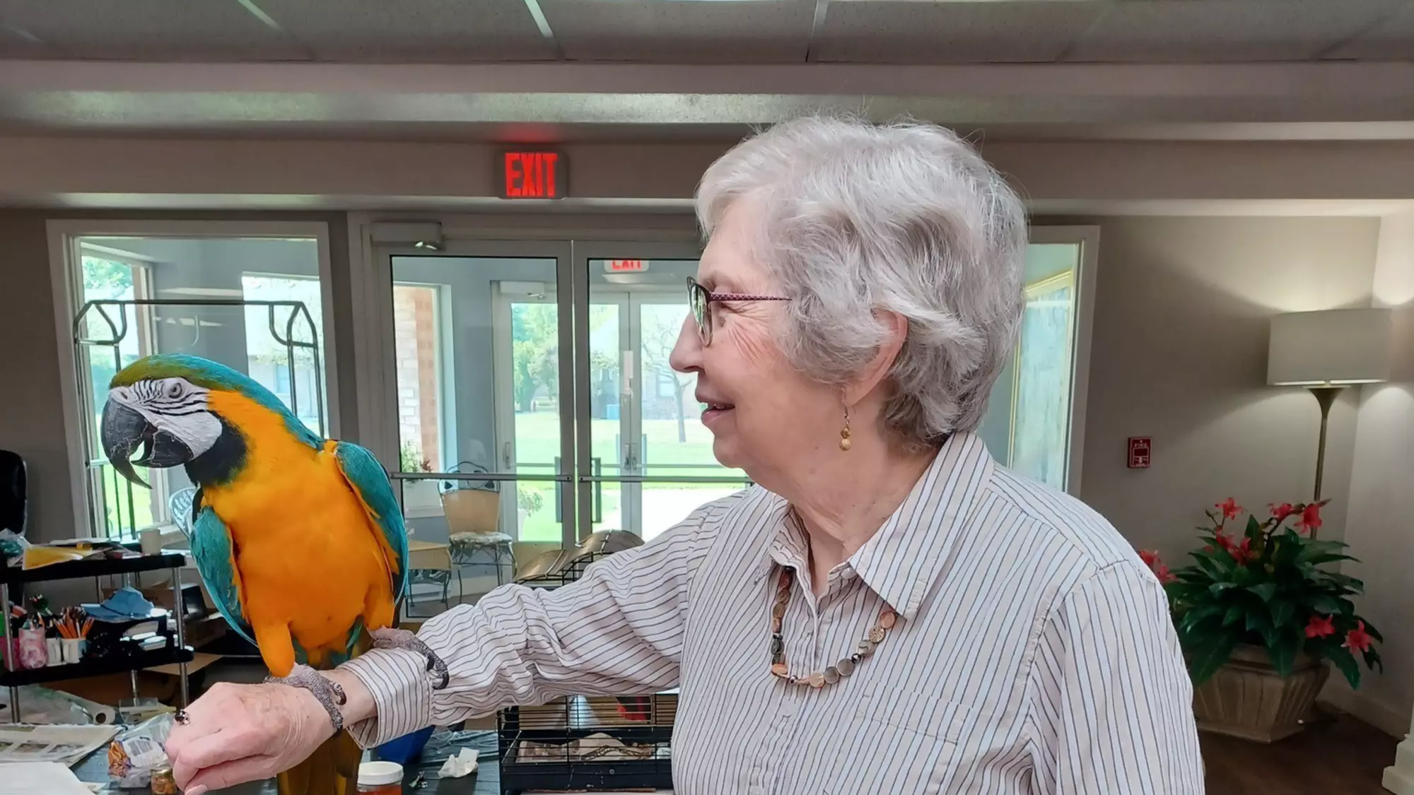 Independence Village of Saginaw (Wescourt), Saginaw, MI 29