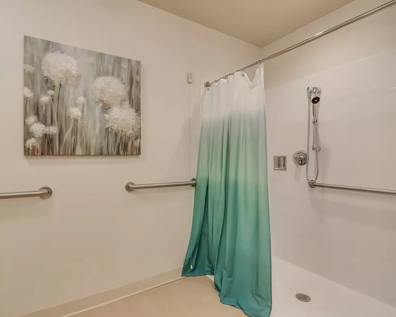 Springvale Assisted Living & Memory Care, Swartz Creek, MI 36