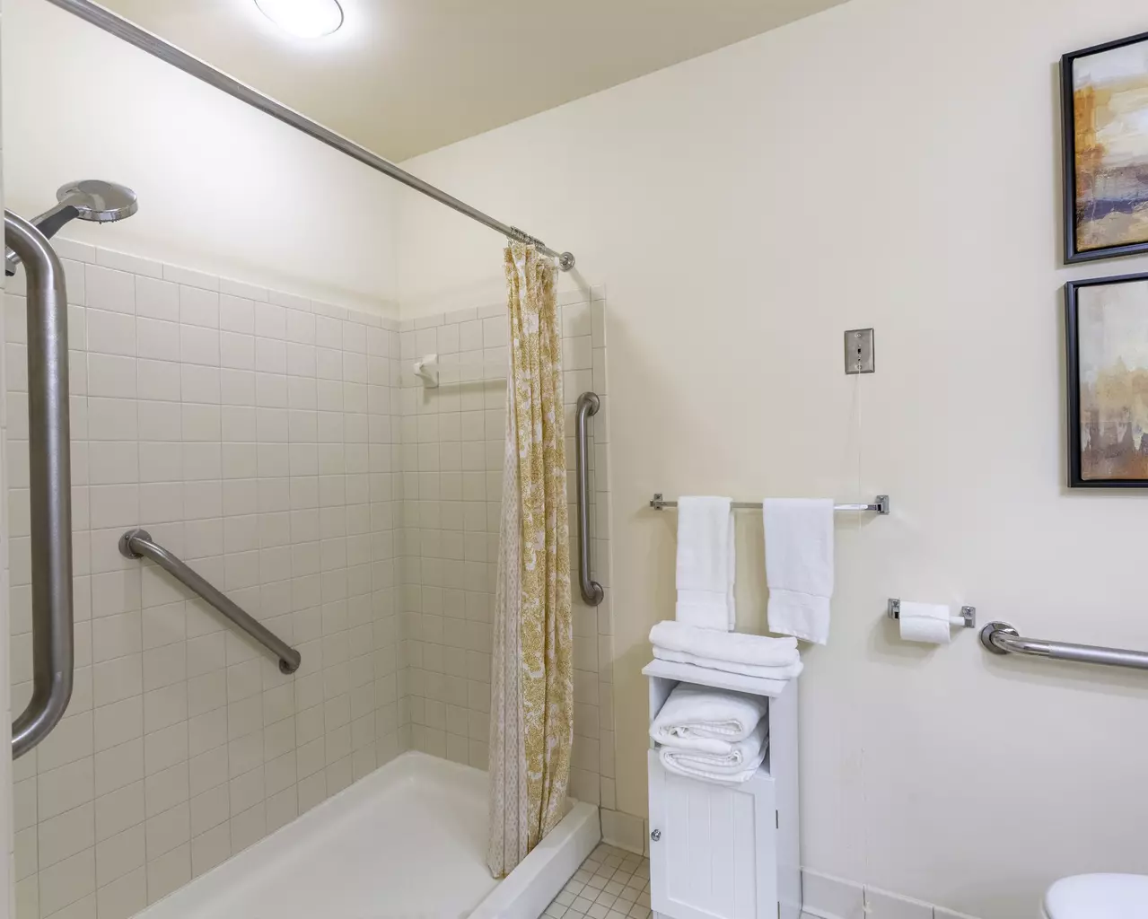 Independence Village of Brighton Valley, Brighton, MI 37