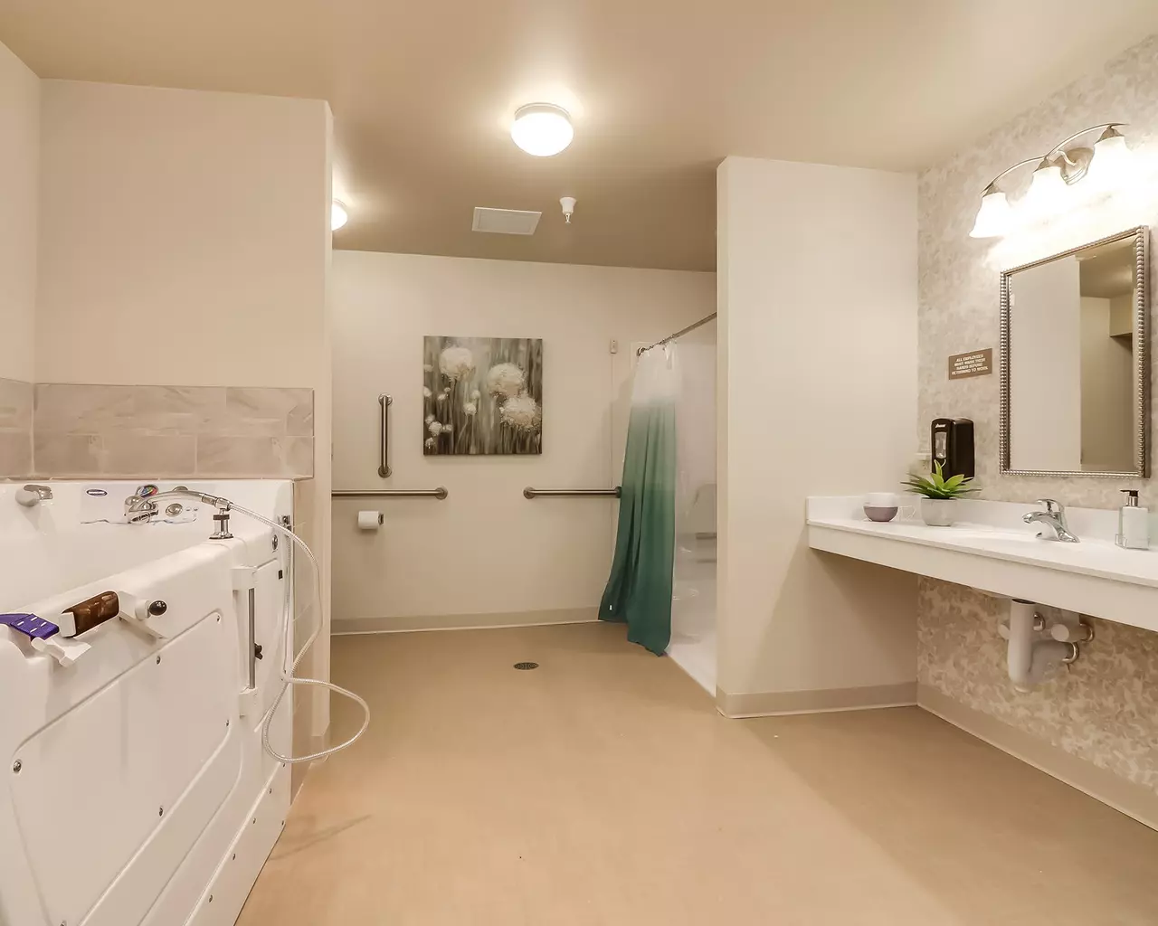 Springvale Assisted Living & Memory Care, Swartz Creek, MI 37