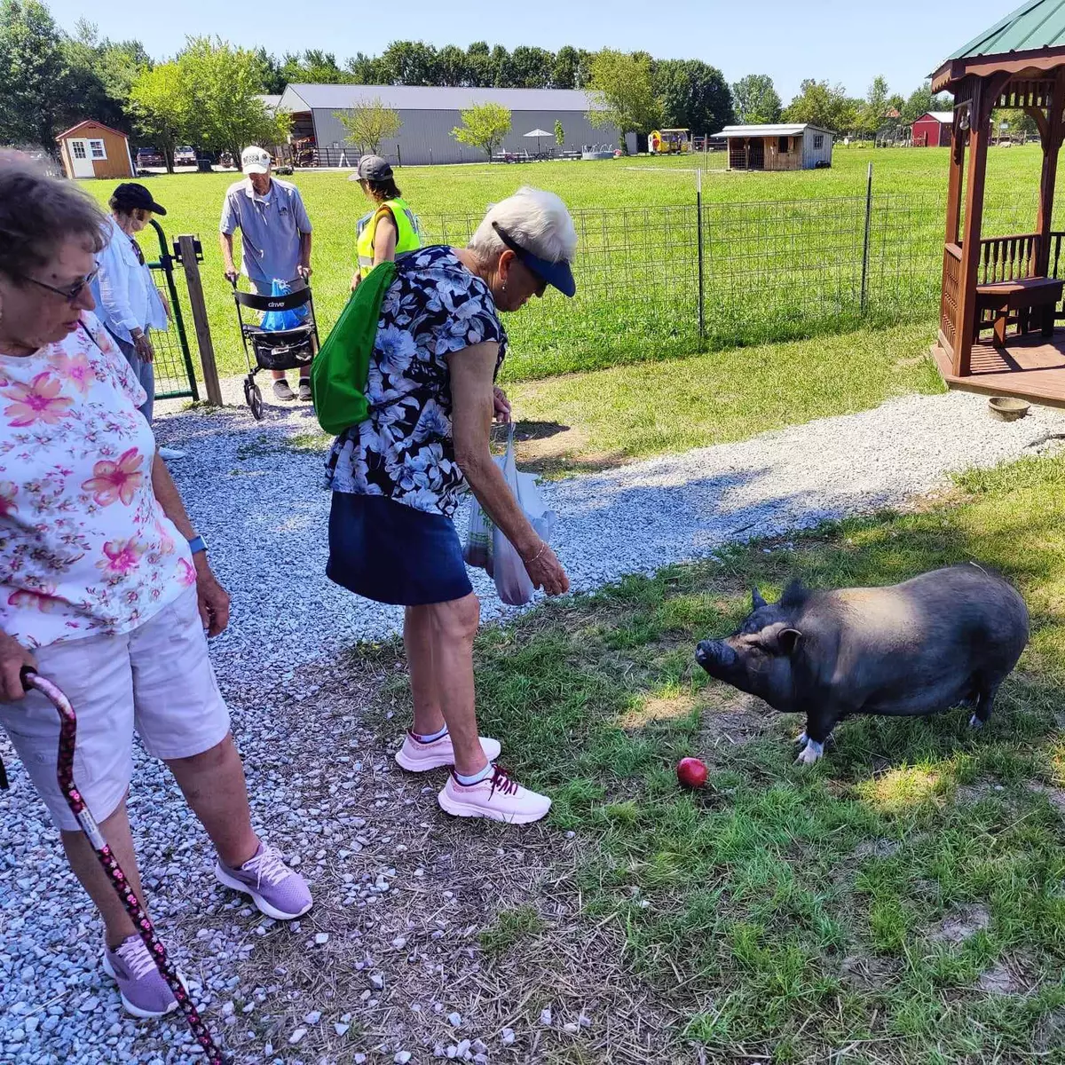 Independence Village of Zionsville West, Whitestown, IN 41