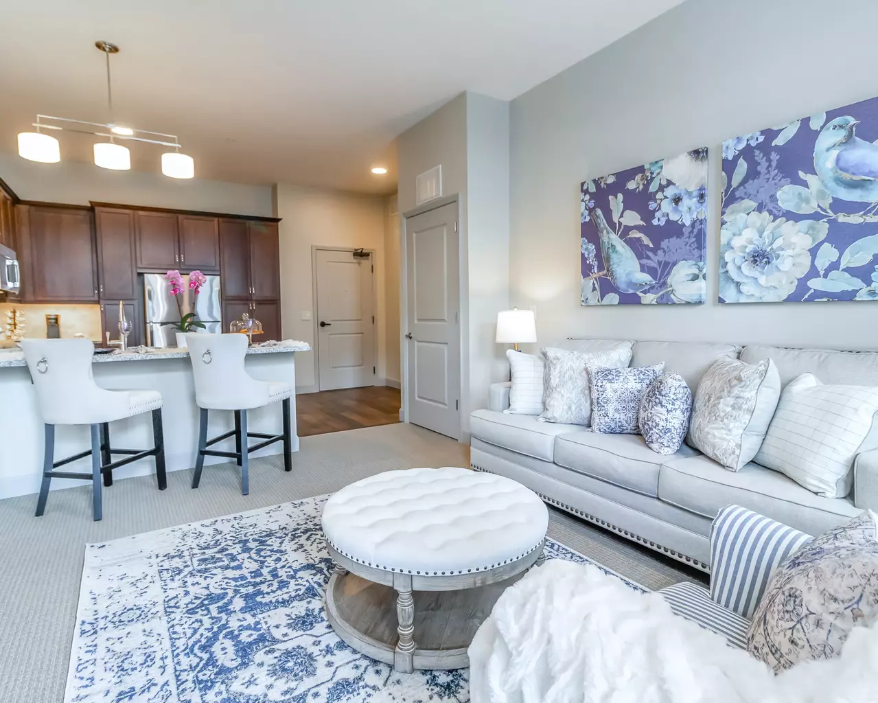 StoryPoint Cordova 55