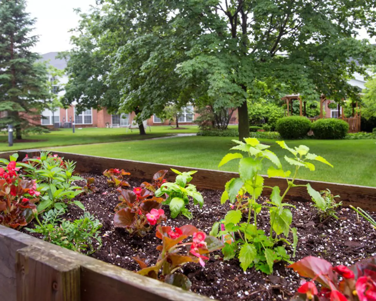 Independence Village of Midland, Midland, MI 8