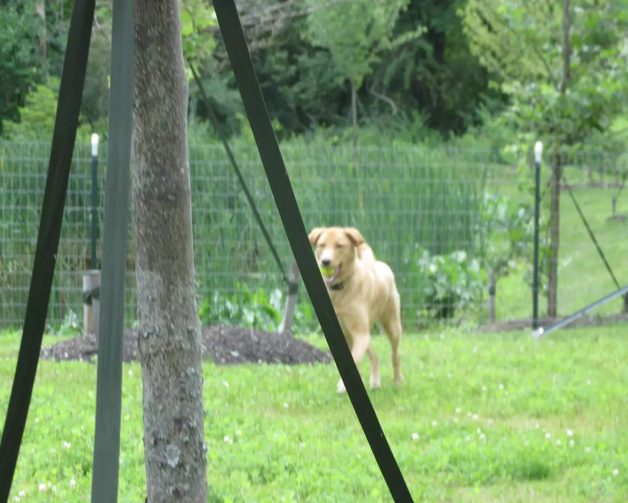 Springwood Westerville, Westerville, OH 10