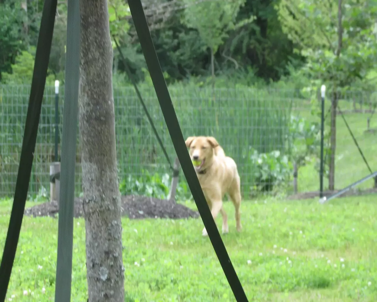 Danbury Broadview Heights, Broadview Heights, OH 10