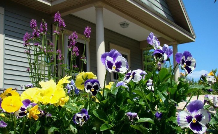 Dirigo Pines, Orono, ME 9