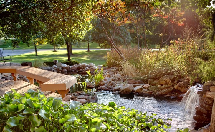 Senior Star at Wexford Place, Kansas City, MO 5