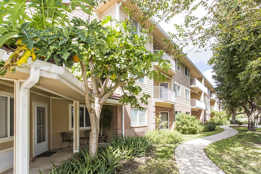 Brook Ridge, Pharr, TX