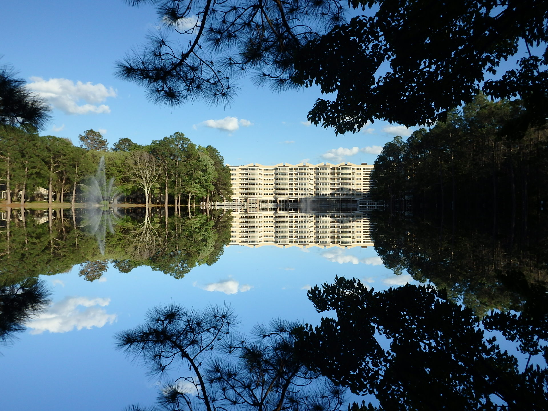 Cypress Village, Jacksonville, FL 9