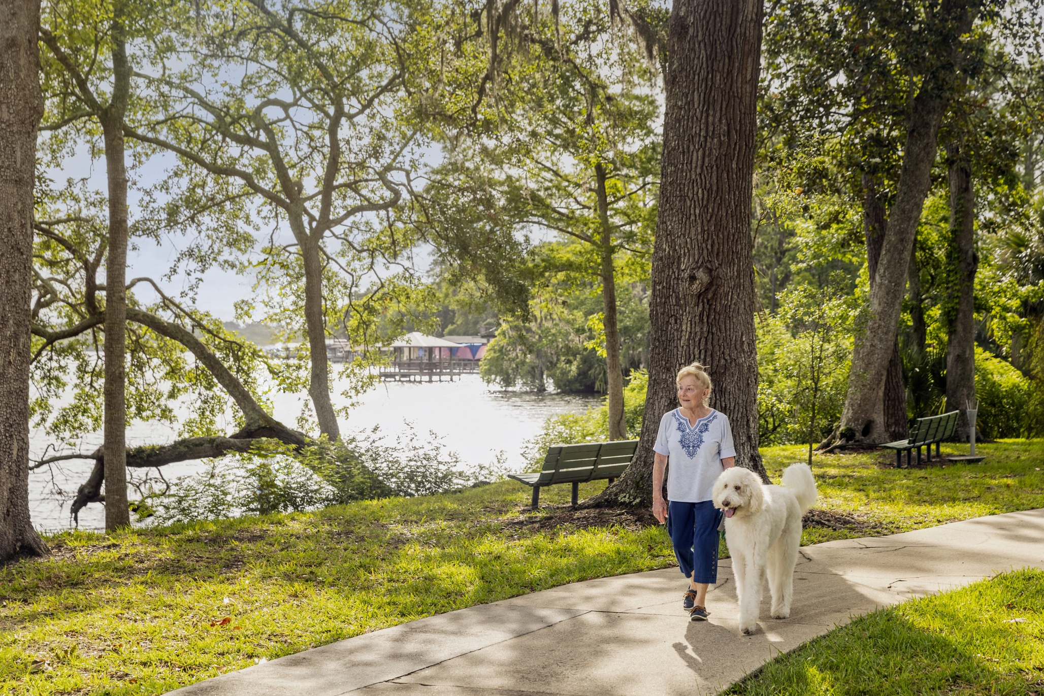 Westminster Woods on Julington Creek, Jacksonville, FL 3
