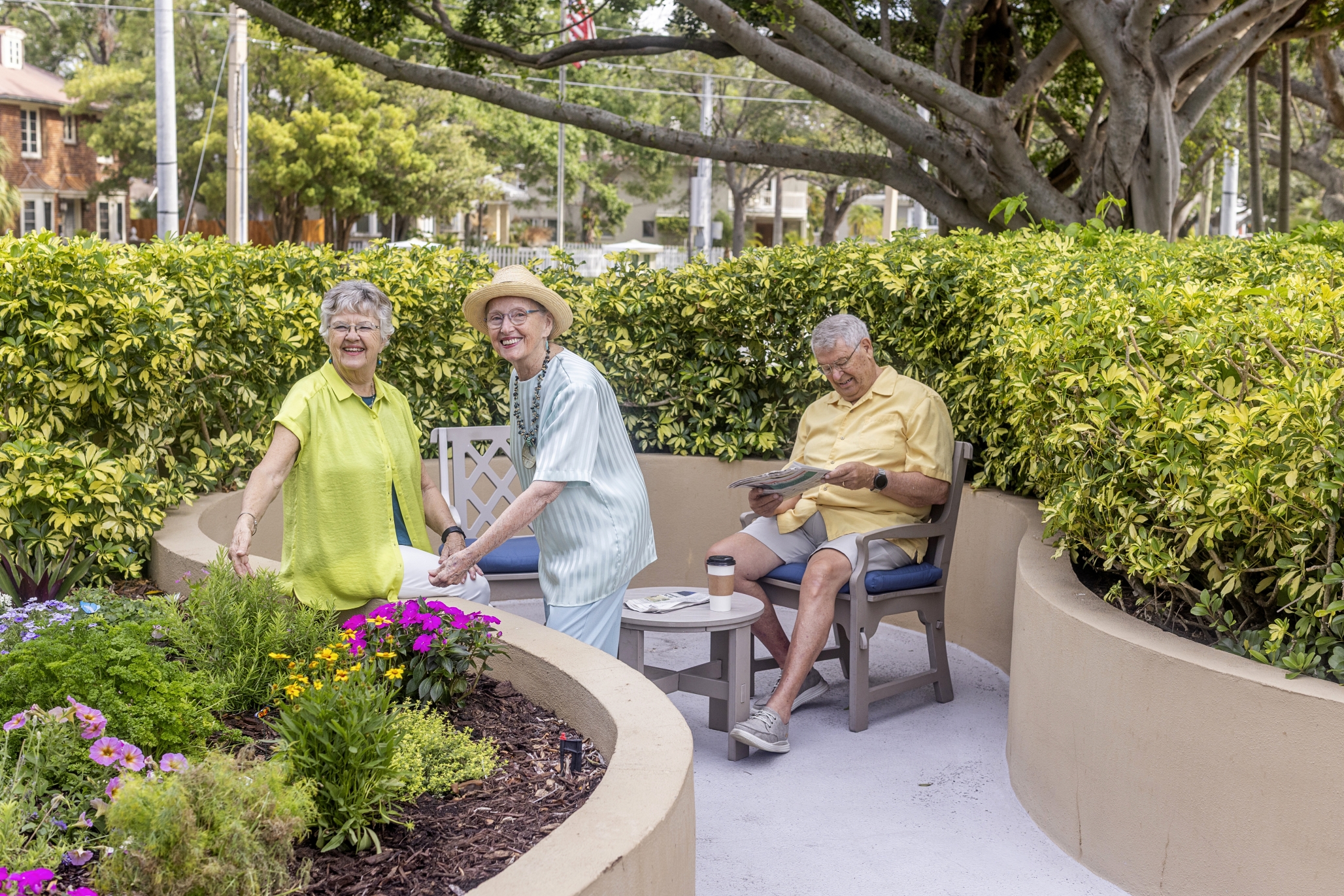 Westminster Palms, St. Petersburg, FL 7