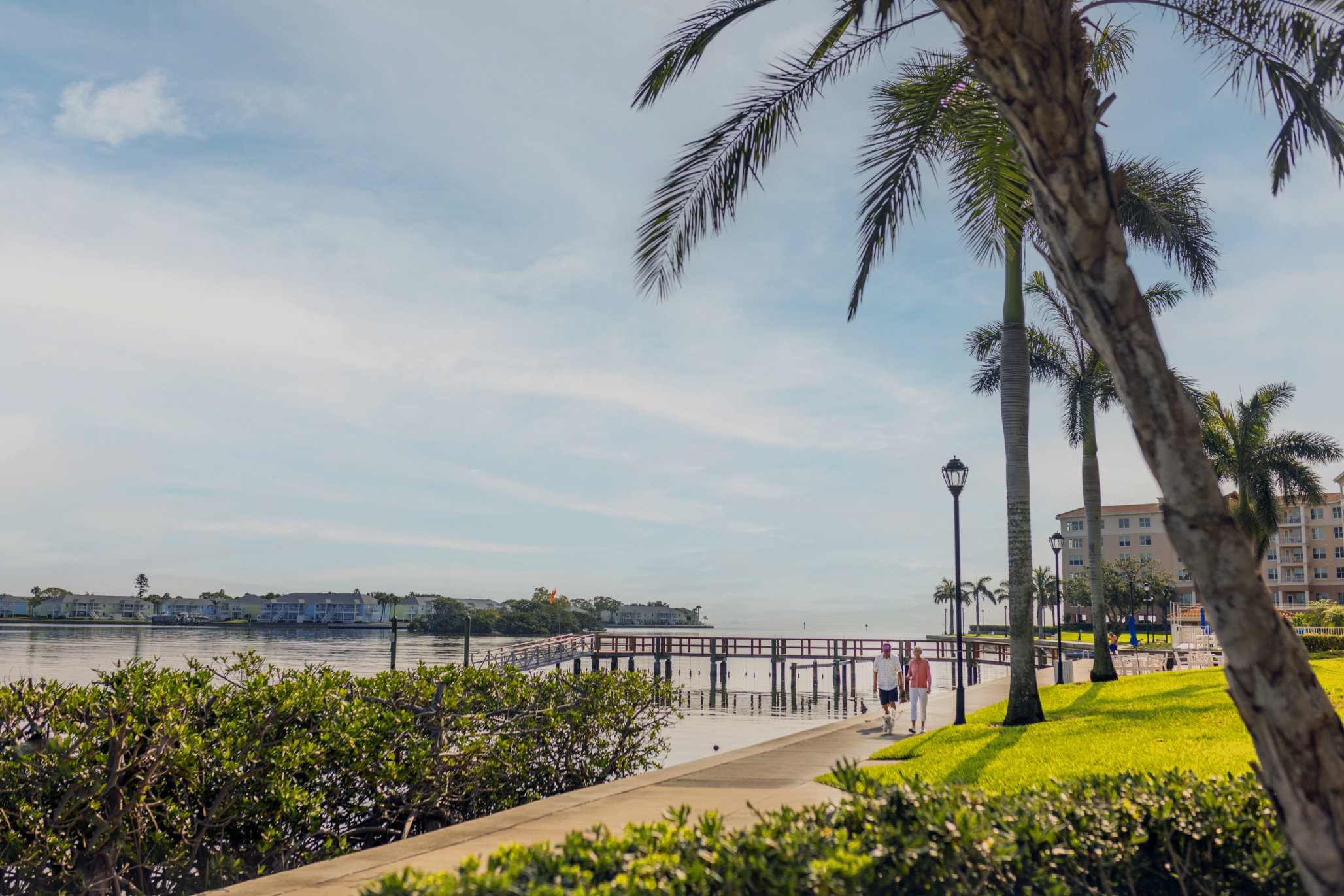 Westminster Shores, St. Petersburg, FL 10