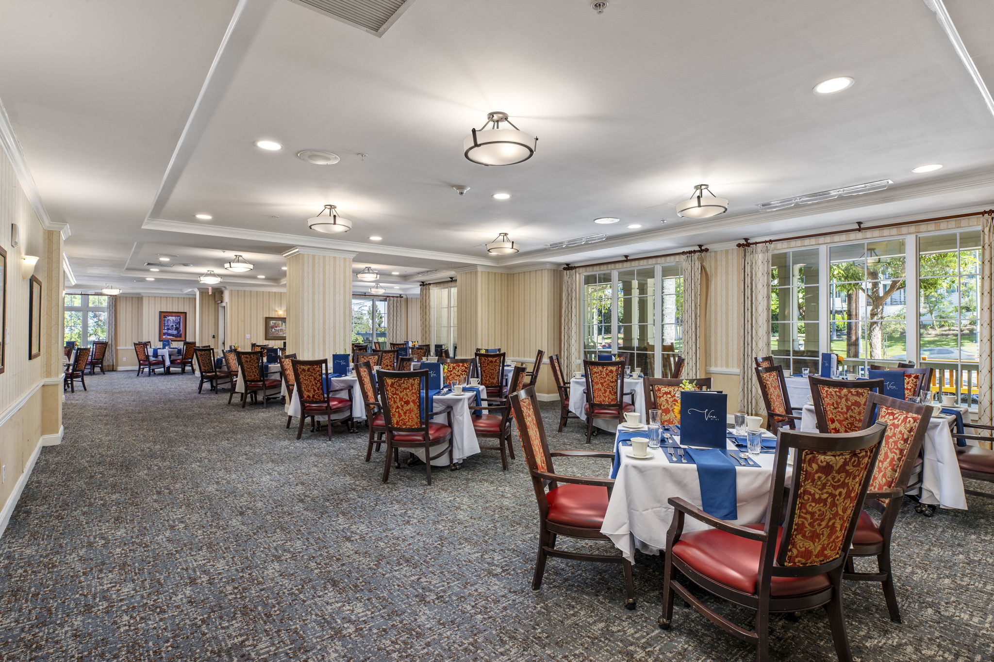 Ivy Park at Woodland Hills, Los Angeles, CA 8