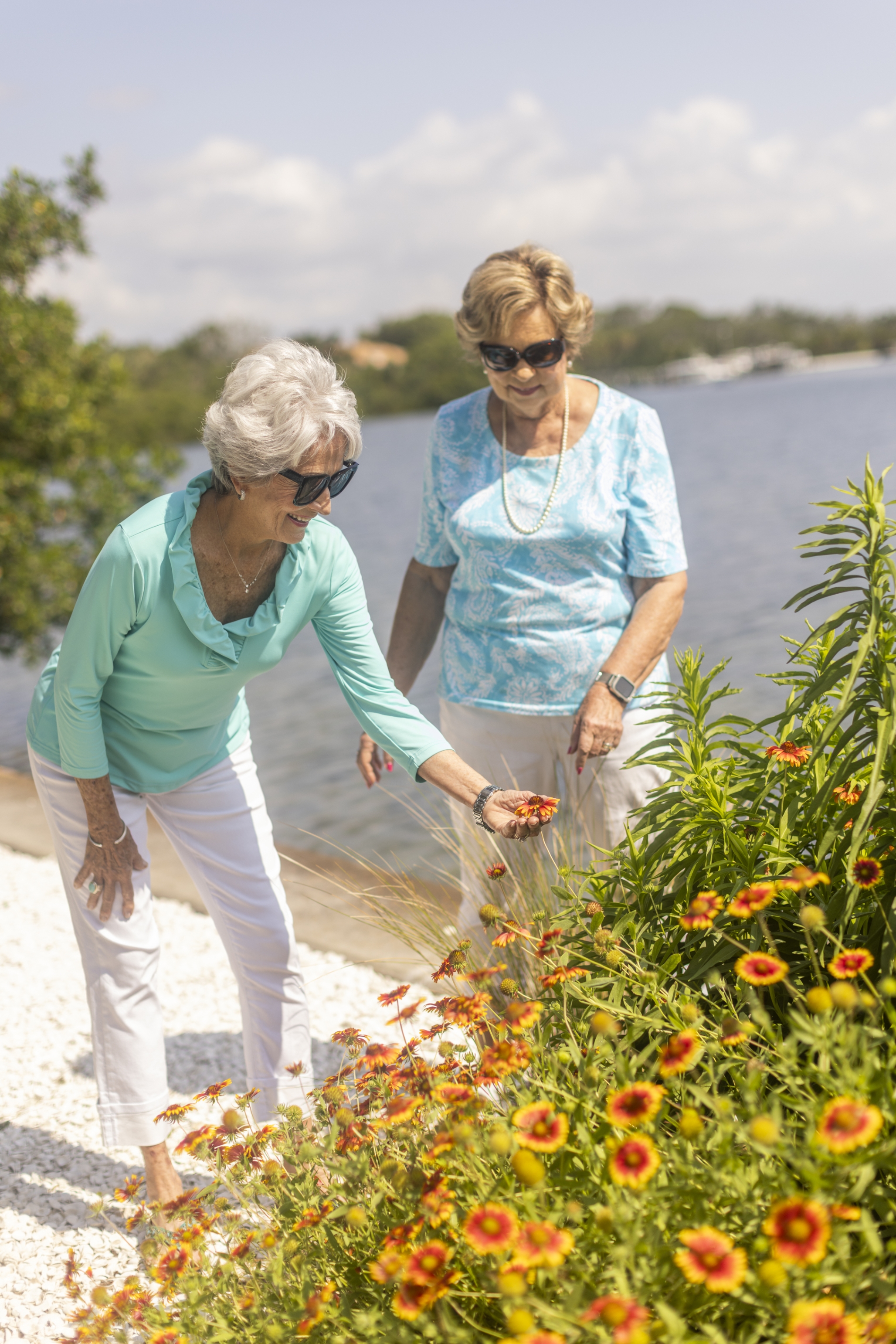 Westminster Shores, St. Petersburg, FL 14