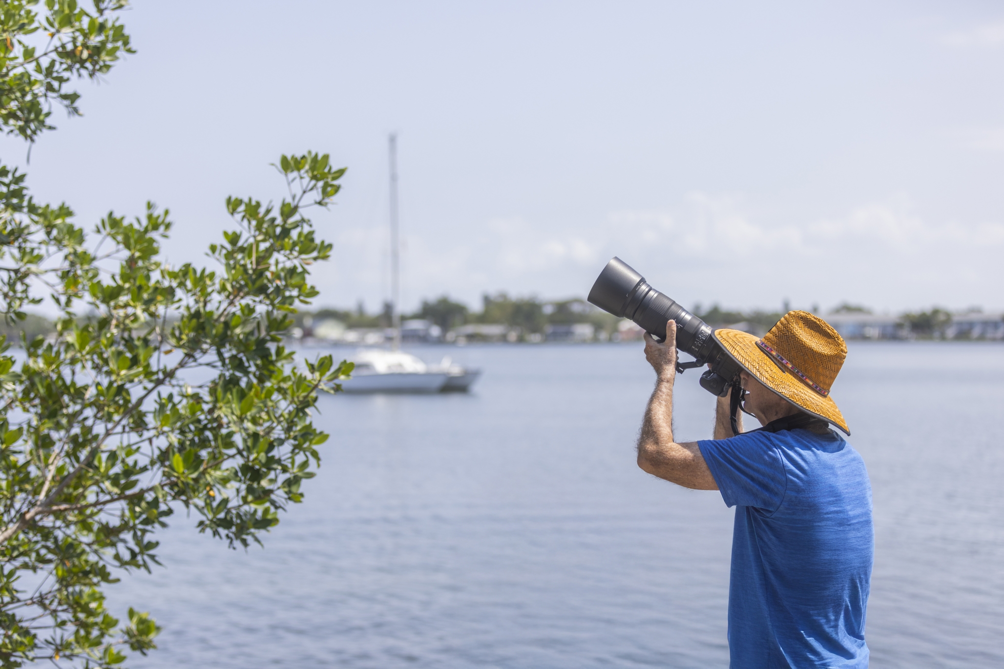 Westminster Shores, St. Petersburg, FL 16