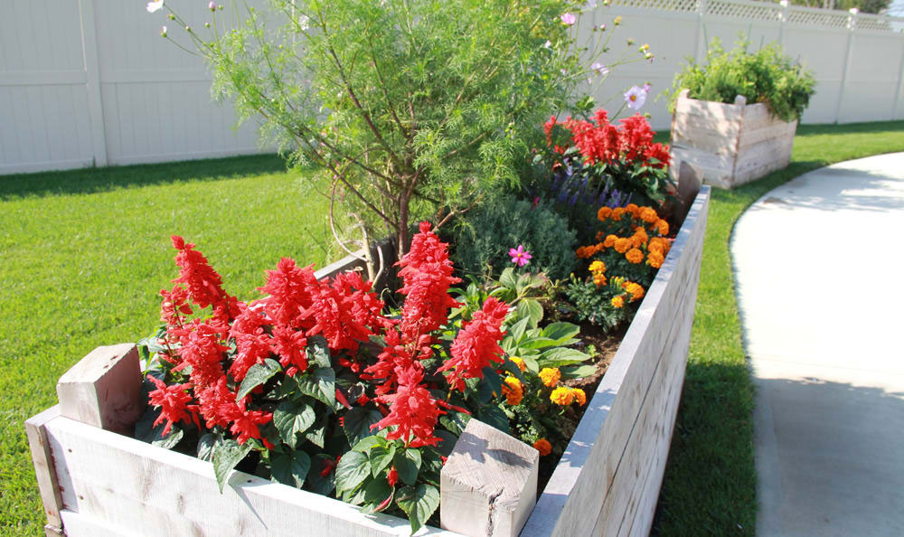 Artis Senior Living of Bridgetown, Cincinnati, OH 10